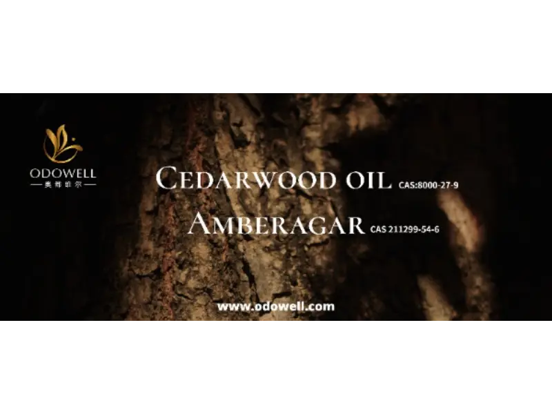 Onko allekirjoitustuoksusi todella ainutlaatuinen?