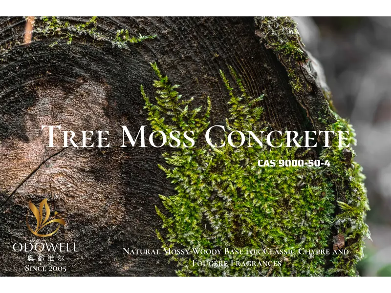 Tree Moss Concrete – ODOWELLin luonnollinen sammaleinen-puupohja klassisille Chypre- ja Fougère-tuoksuille