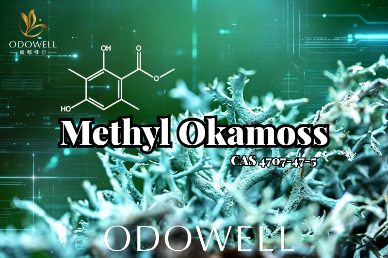 ​ODOWELL esittelee Methyl Okamossin: aitoa synteettistä tammimosta Chypre- ja Fougère Masterylle