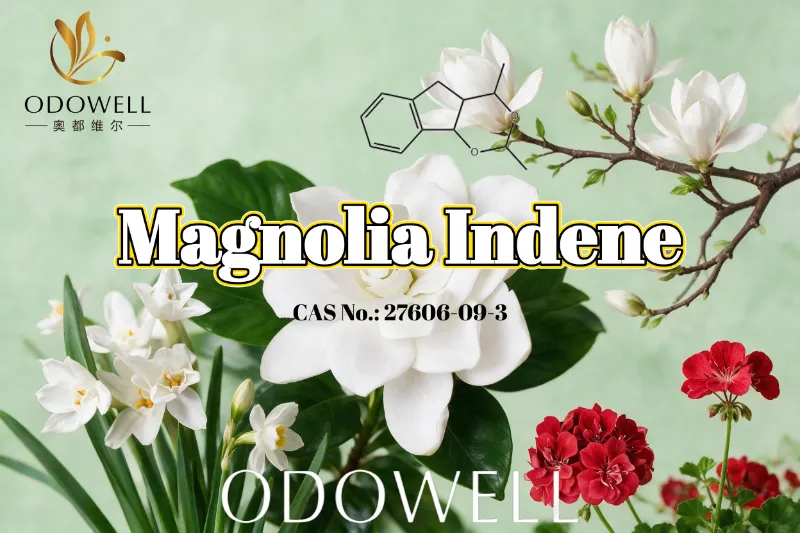 ODOWELL suosittelee Magnolia Indeneä tuoreisiin kukkavihreisiin ja sitrusmaisiin tuoksusovelluksiin